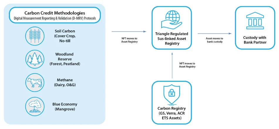 The Triangle asset registry